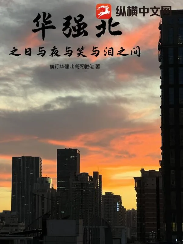《华强北之日与夜与笑与泪之间》小说封面